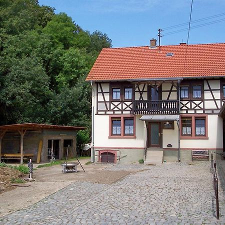 Vila Pferdehof Und Wanderreitstation Doersam Mörlenbach Exteriér fotografie
