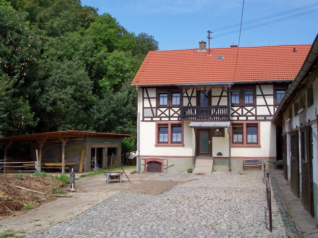 Vila Pferdehof Und Wanderreitstation Doersam Mörlenbach Exteriér fotografie