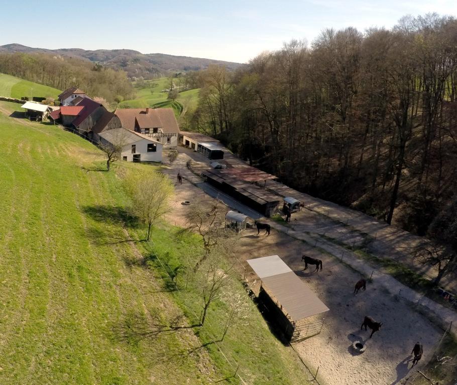 Vila Pferdehof Und Wanderreitstation Doersam Mörlenbach Exteriér fotografie