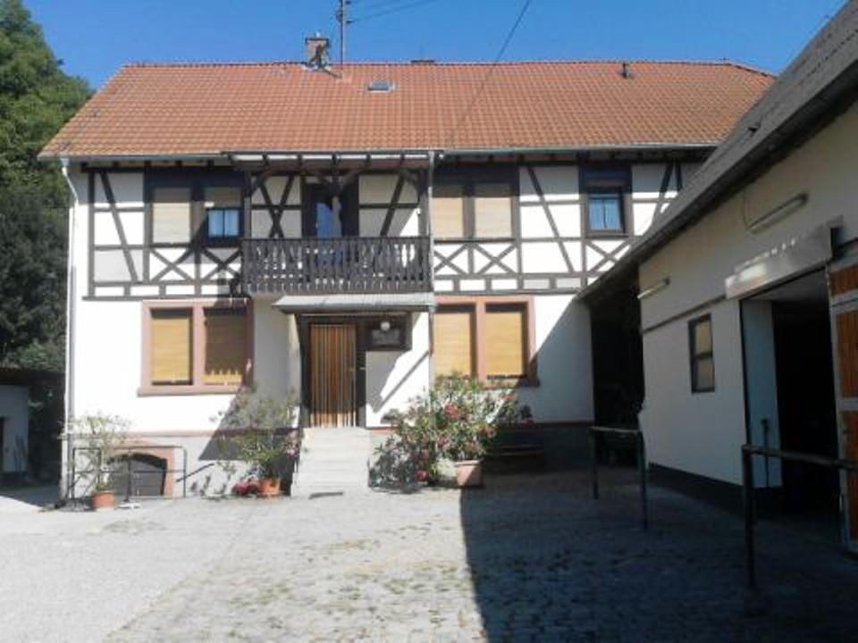 Vila Pferdehof Und Wanderreitstation Doersam Mörlenbach Exteriér fotografie