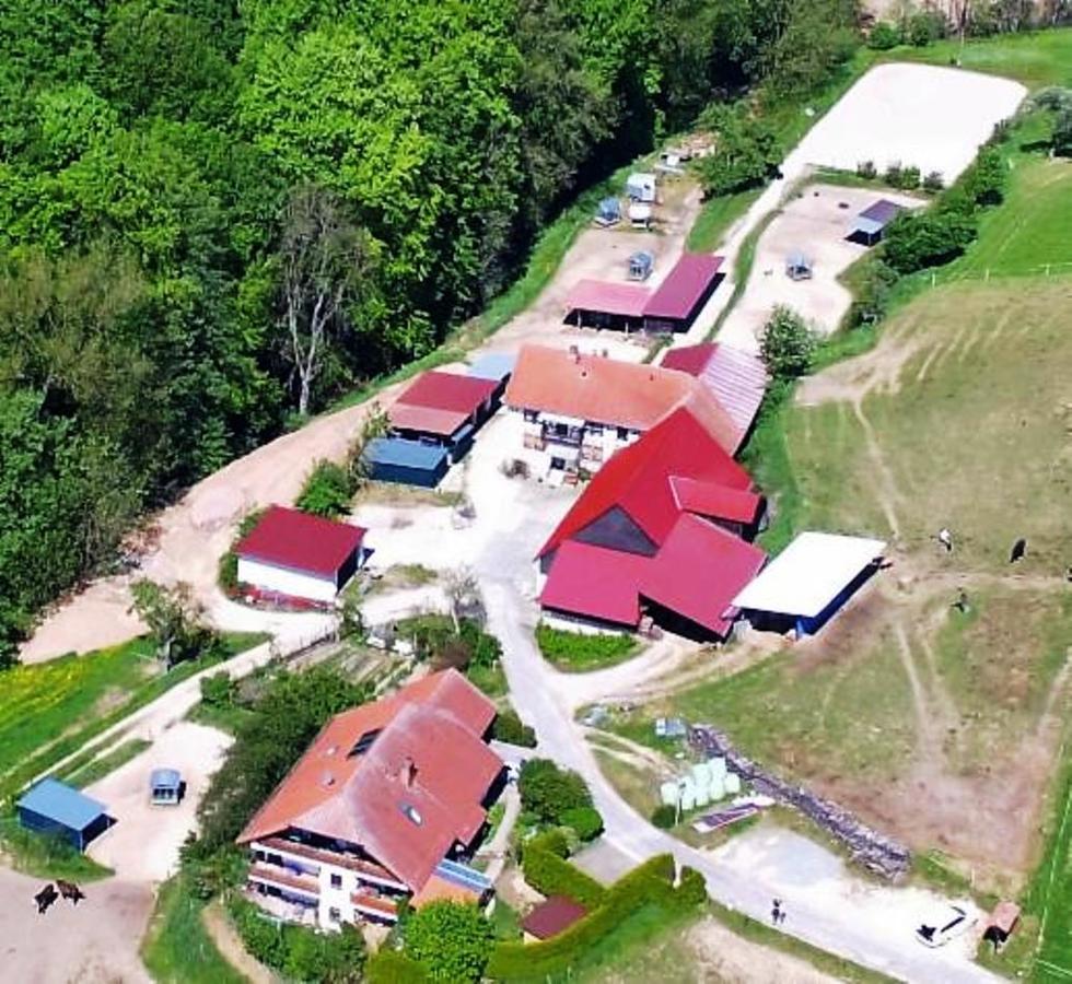 Vila Pferdehof Und Wanderreitstation Doersam Mörlenbach Exteriér fotografie